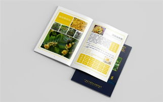 致青春 創意產品盒定制與廣告策劃，賀州專業代理代辦服務